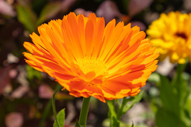 Similar image 21120793