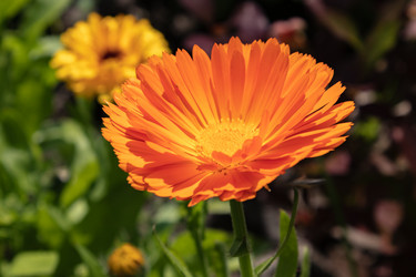 Similar image 21121112