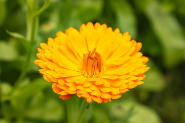 Similar image 21121114