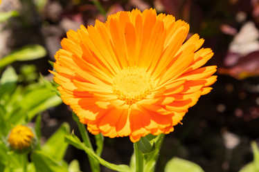 Similar image 21121115