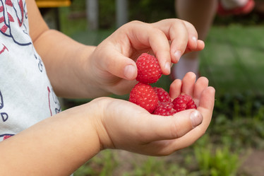 Similar image 21121116