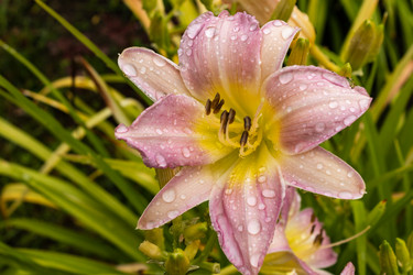 Similar image 21121117