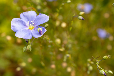 Similar image 21121118