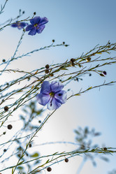 Similar image 21121119