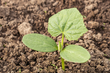 Similar image 21121120