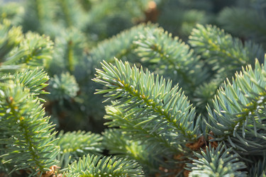 Similar image 21121122