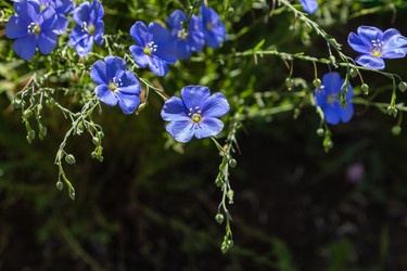 Similar image 21121126