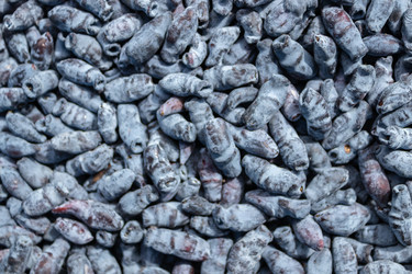 Similar image 21121128