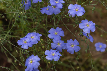 Similar image 21121133