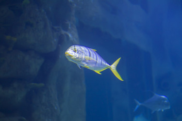 Similar image 21104166