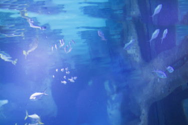 Similar image 21104170