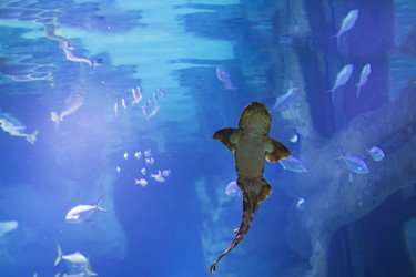 Similar image 21104181