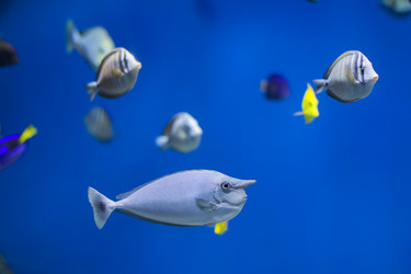 Similar image 21104184