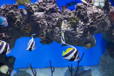 Similar image 21081721