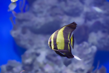 Similar image 21081723