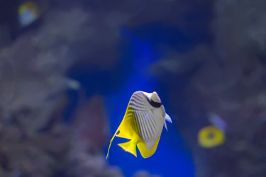 Similar image 21081728