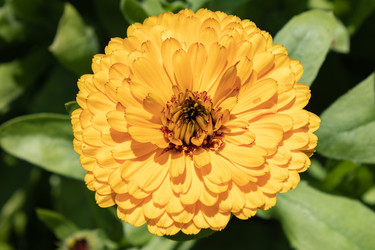 Similar image 21120319