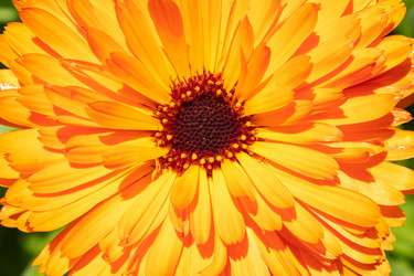 Similar image 21120320