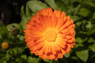 Similar image 21120321