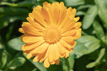 Similar image 21120322