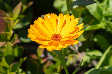 Similar image 21120323