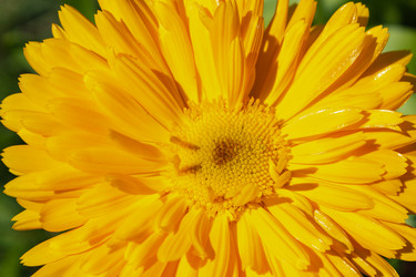 Similar image 21120325