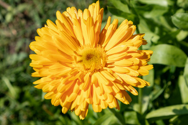 Similar image 21120326