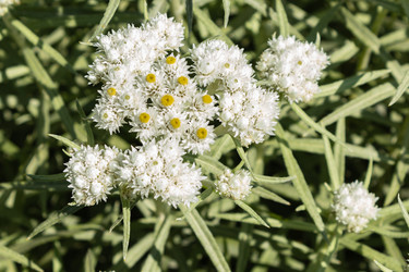 Similar image 21120327