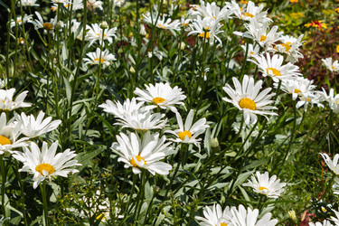 Similar image 21120328