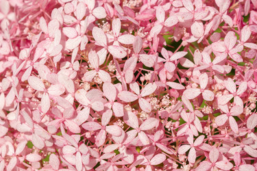 Similar image 21120329