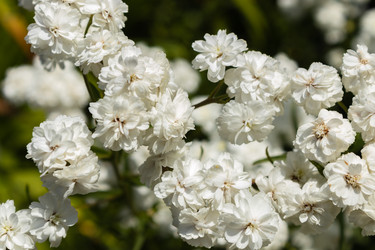 Similar image 21120331