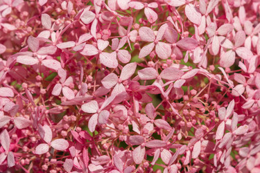 Similar image 21120333