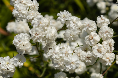 Similar image 21120335