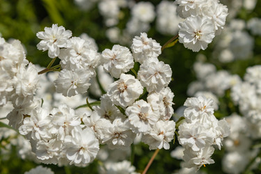 Similar image 21120337