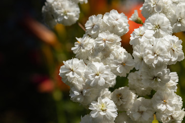 Similar image 21120338