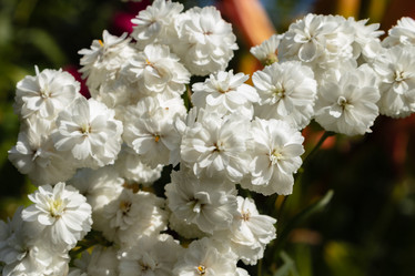 Similar image 21120340