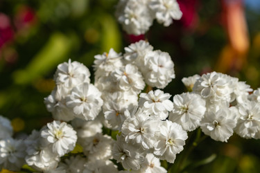 Similar image 21120341