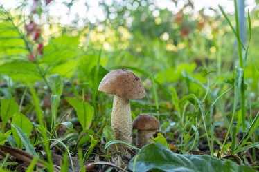 Similar image 21120343