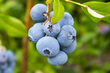 Similar image 21120344