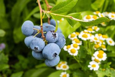 Similar image 21120345