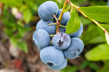 Similar image 21120346