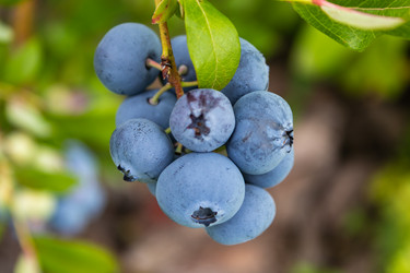 Similar image 21120347