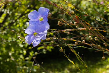 Similar image 21120348