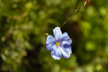 Similar image 21120349