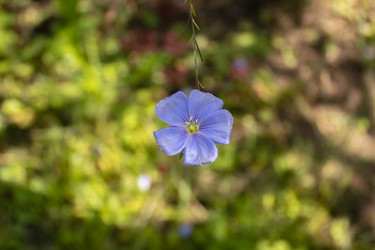 Similar image 21120350