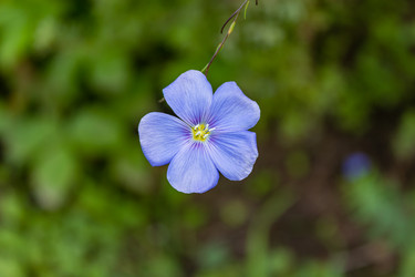 Similar image 21120351