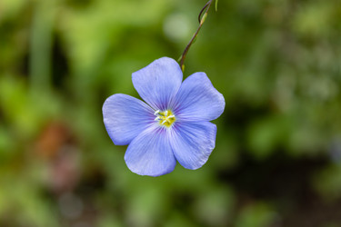 Similar image 21120352