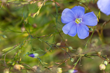 Similar image 21120353