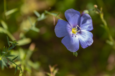 Similar image 21120354