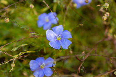 Similar image 21120355